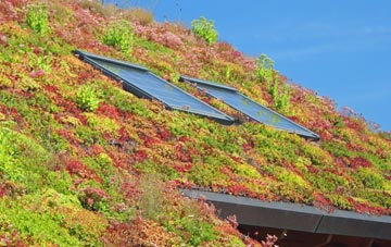 Edworth living roof systems